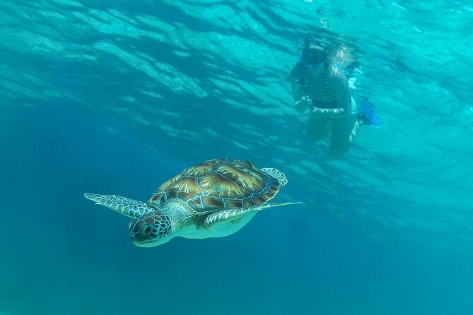 A Half-Day Catamaran Tour With Lunch and Open Bar  - Playa Del Carmen - Common Questions
