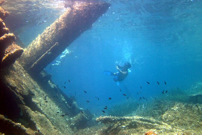 A Half-Day Dolphin-Spotting Cruise in a Rubber Dinghy  - Sardinia - Accessibility and Logistics