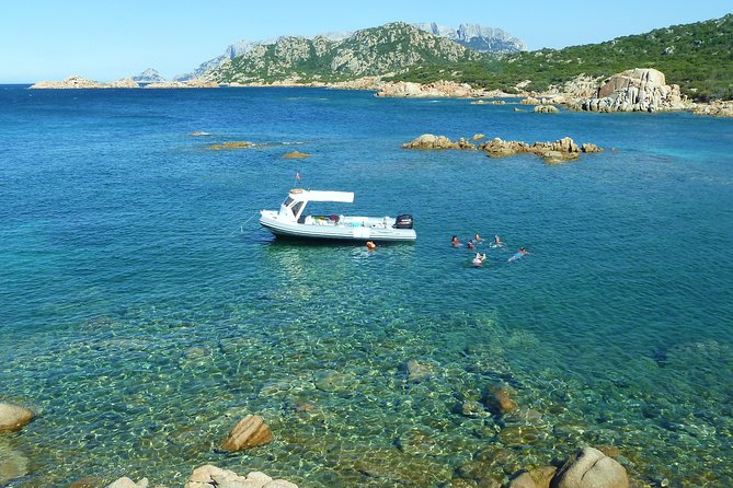 A Half-Day Dolphin-Spotting Cruise in a Rubber Dinghy  - Sardinia - Customer Reviews