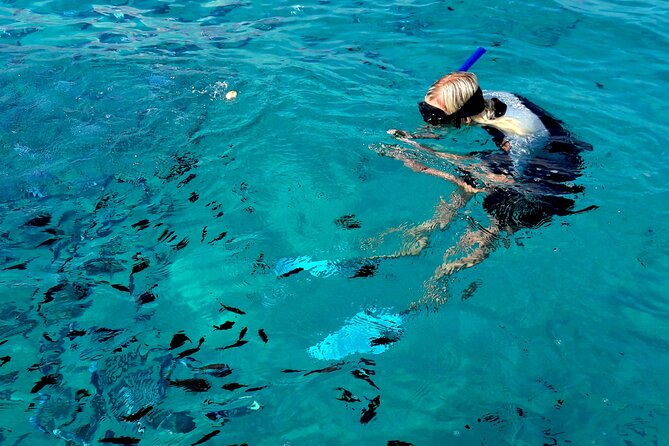 A Half-Day Dolphin-Spotting Cruise in a Rubber Dinghy  - Sardinia - Common Questions