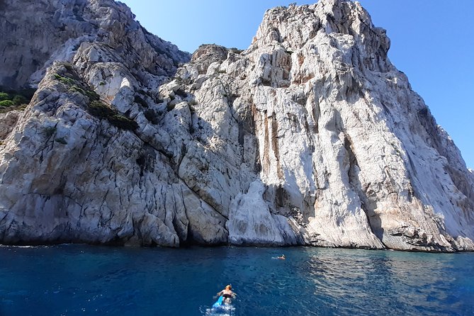 A Half-Day Dolphin-Spotting Cruise in a Rubber Dinghy  - Sardinia - The Sum Up