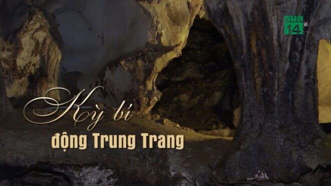A Half Day Treking Cat Ba Nation Park & Trung Trang Cave - Reserve Now & Pay Later