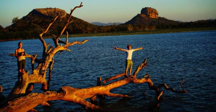 A Hidden Gem in Sigiriya: Magical Boat Journey. - Scenic Views and Highlights