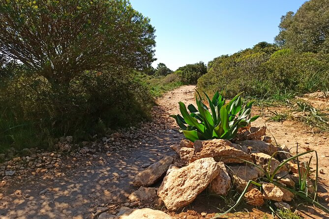 A Hike to the Devils Saddle - Pricing and Booking Information
