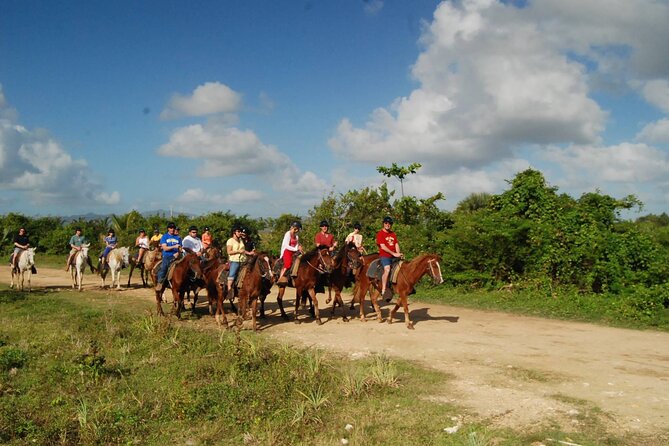 A Horse-Riding, ATV Experience, and Catamaran Combo Tour (Feb ) - Tour Reviews and Feedback