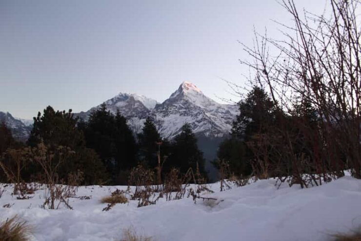 A Journey Through Nepal: 12 Days of Trekking and Exploration - Included Services and Amenities