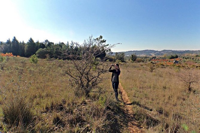 A Journey Through the Forgotten Sierra ... - Serra De Brasfemes, Coimbra - Overview of the Serra De Brasfemes