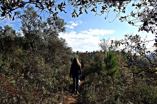 A Journey Through the Forgotten Sierra ... - Serra De Brasfemes, Coimbra - Unique Features and Landmarks
