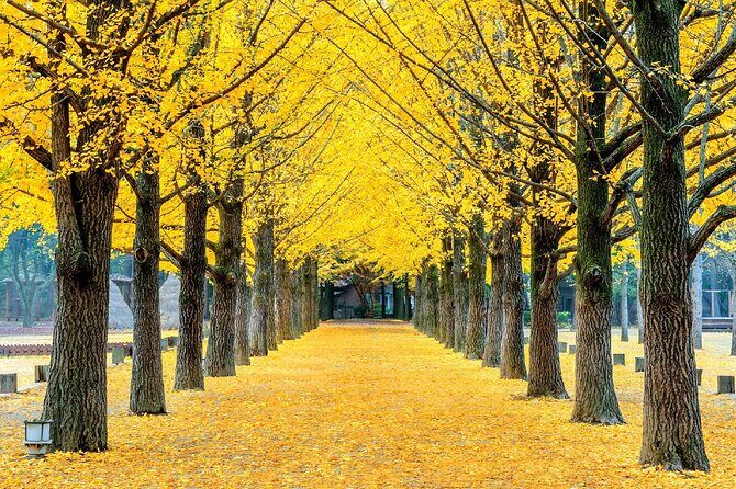 A Journey Through Time and Taste Seoul Experience - Exploring Seoul: A Deep Dive into the Tour Details