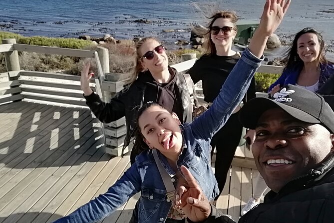 A Journey to African Penguins,Capepoint and Cape of Good Hope - Arrival at Cape Town