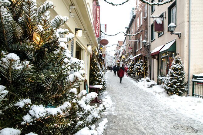 A Joyful Christmas: Private Walking Tour in Quebec - Who Should Consider This Tour?