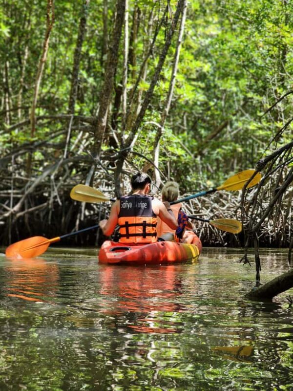 A Jungle-to-Sea Kayaking & Trekking Adventure in Phuket - Exploring Phuket’s Hidden Corners: The Full Experience