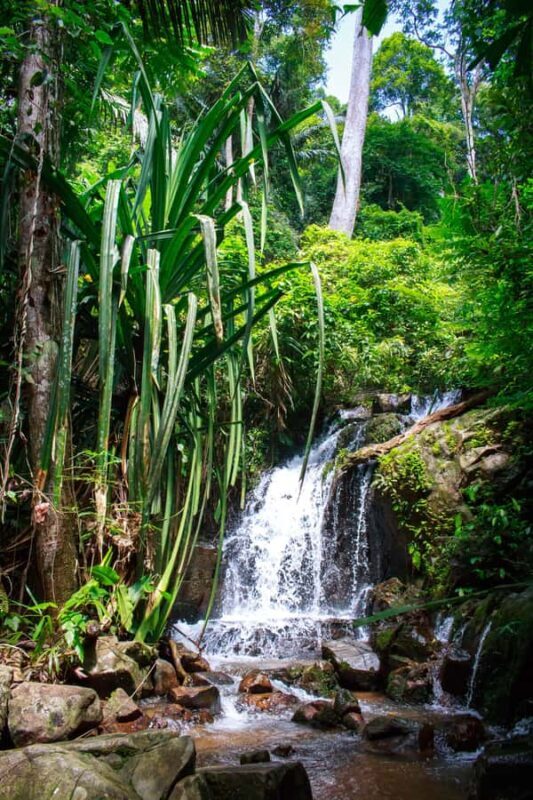 A Jungle-to-Sea Kayaking & Trekking Adventure in Phuket - Why This Tour Works for You