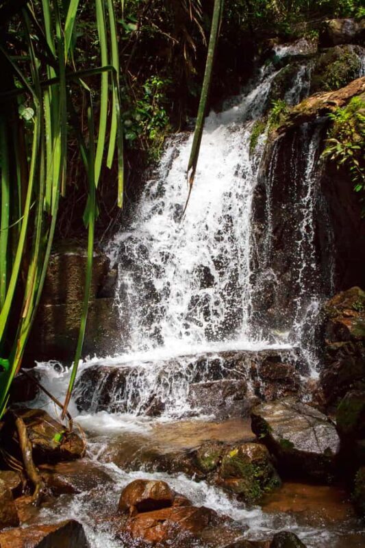 A Jungle-to-Sea Kayaking & Trekking Adventure in Phuket - FAQ