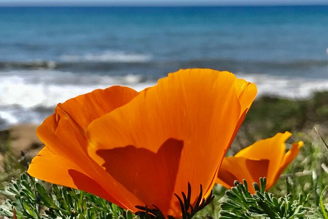 A La La Tour - Private Tour of Californias Central Coast - Meeting and Pickup Information