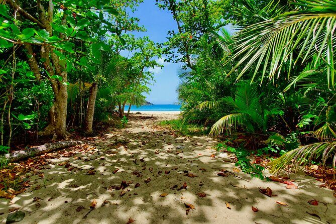 A Little Bit Of Everything Tour & Beach with Rum Punch (Private) - Good To Know