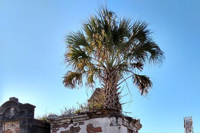 A Locals Garden District Tour - Tour Highlights