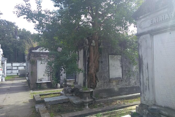 A Locals Garden District Tour - Insider Tips