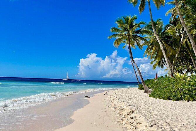 A Magical Day on Saona Island - Good To Know