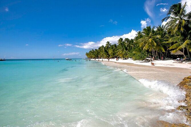 A Magical Day on Saona Island - In-Depth Look at the Saona Island Tour