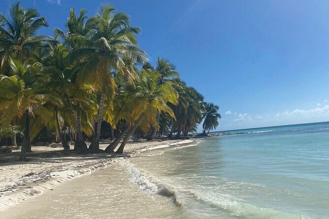 A Magical Day on Saona Island - The Sum Up
