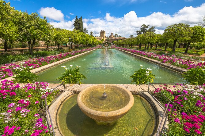 A Majestic Holiday Journey With Seville Royal Christmas - Indulge in Festive Culinary Delights
