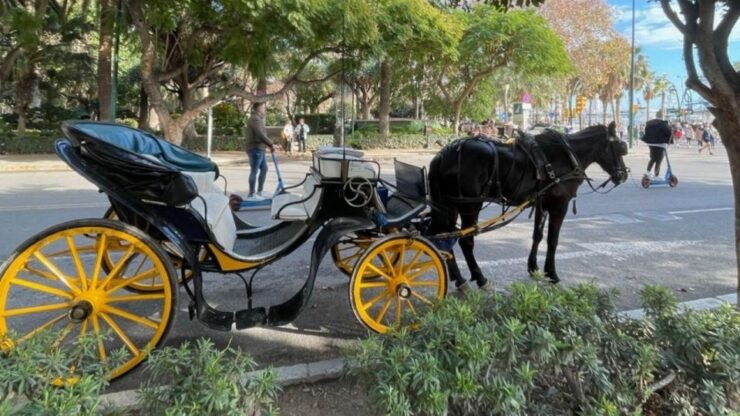 A Malaga Meander: The Ancient City's History - Audio Tour - Language and Highlights