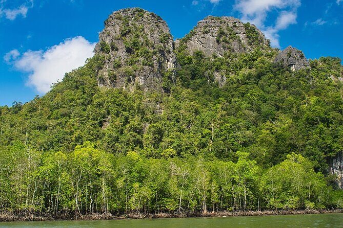 A Mangrove River Cruise on Langkawi - Good To Know