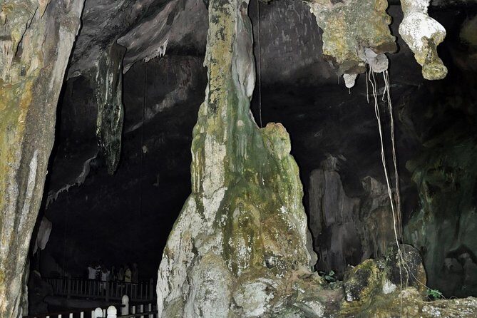 A Mangrove River Cruise on Langkawi - The Sum Up