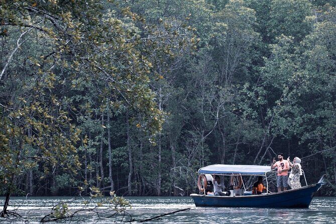 A Mangrove River Cruise on Langkawi - What to Expect from the Experience