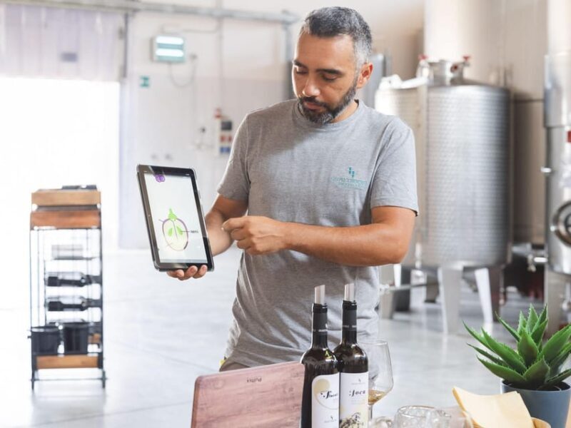 A morning with the Winemaker - The Tasting Experience: Four Wines and One Barrel