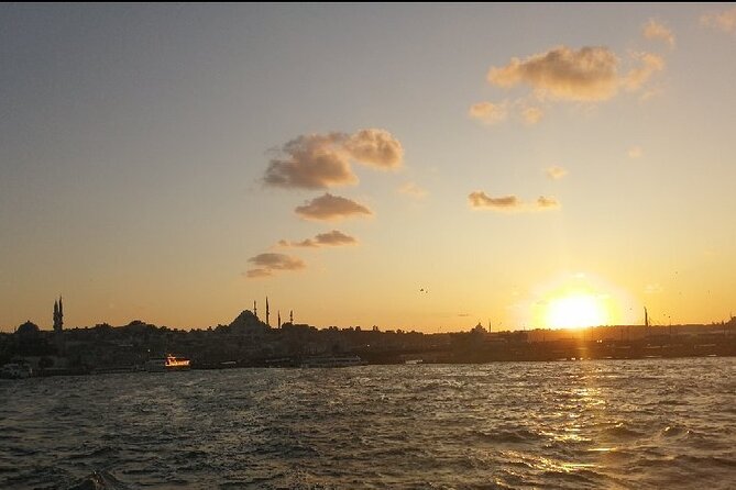 A Narrated Bosphorus Cruise to Istanbuls Asian Side - Tour Highlights