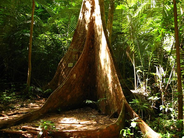 A Natural Discovery of Scenic Krabi - Highlights of Krabis Natural Attractions