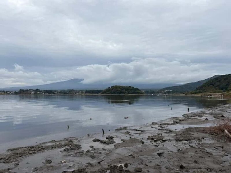 A Nature Escape to Fuji and Lake Kawaguchiko Guided Tour - The Sum Up: Who is This Tour Perfect For?