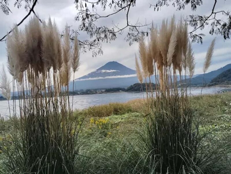 A Nature Escape to Fuji and Lake Kawaguchiko Guided Tour - FAQ