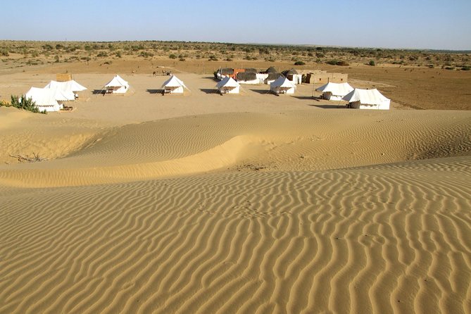 A Night in Thar Desert – Unforgettable Luxury Camel Safari - Experience Overview