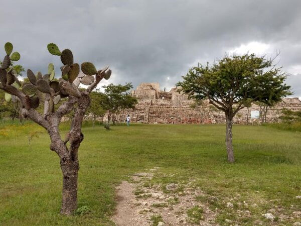 A NOT Crowded Tour to Cañada De La Virgen - Booking and Cancellation