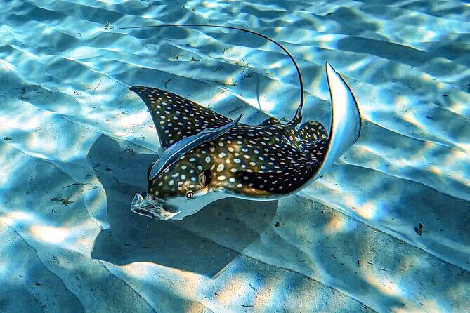 A Perfect-Day in Carlisle Bay - Final Words