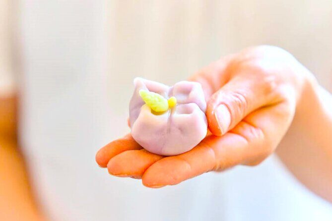 A perfect Japanese experience: Tea Ceremony and Mochi Forming - Who Would Love This Experience?