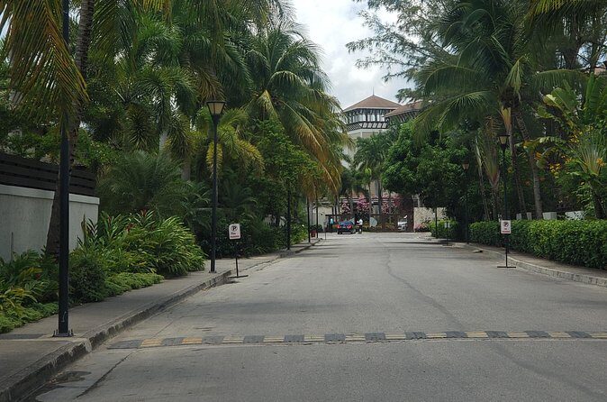 A "Private" Airport Transfer to any Resort in NEGRIL - Who Should Book This Transfer?