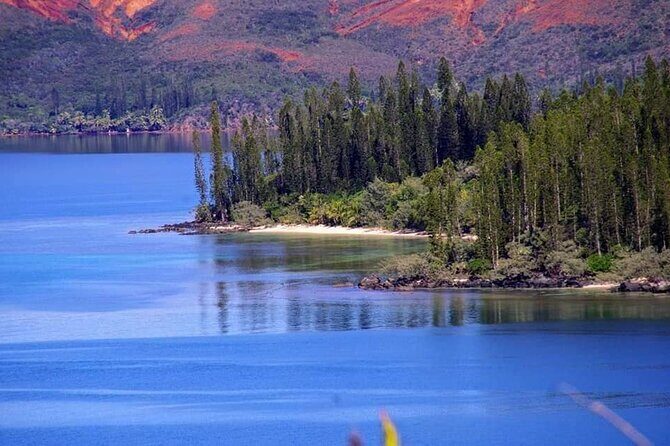 A Private Day in the Deep South in 4x4 Adventure mode - FAQ