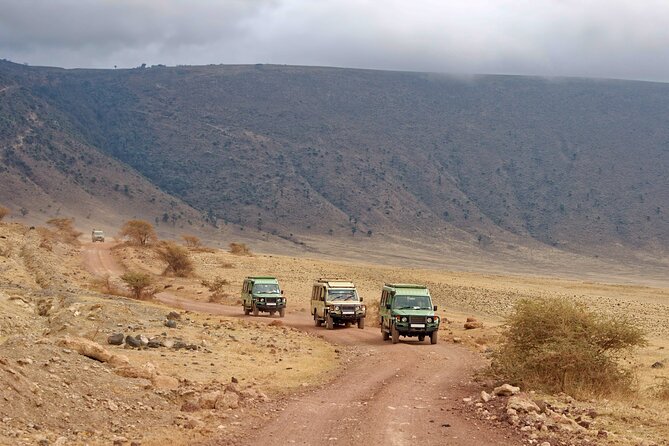 A Private Day Trip to Ngorongoro Crater - Additional Information and Restrictions