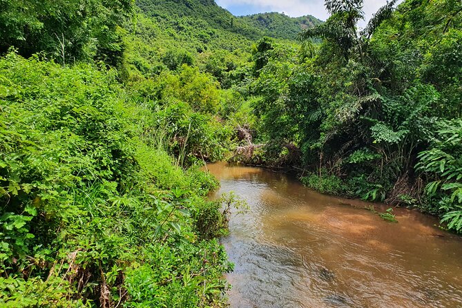 A Private Full Day Tour to My Son Sanctuary & Marble Moutains - Pricing and Terms