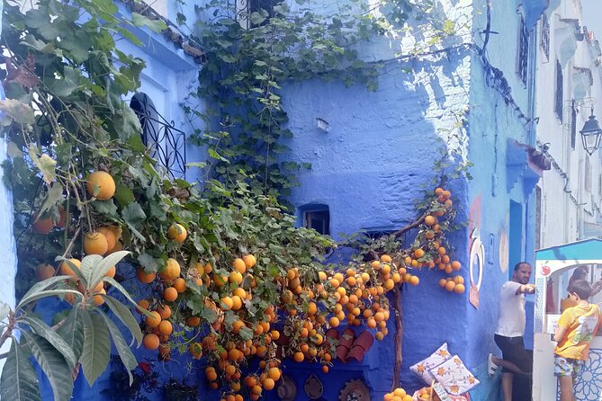 A Private Full Day Trip to Chefchaouen From Tangier - Good To Know