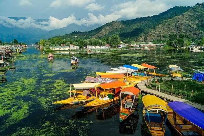 A Private Guided Walking Tour Of Old Srinagar With Lunch - A Closer Look at the Itinerary