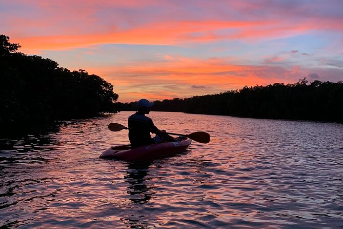 A Private Half-Day Kayaking Experience in Nichupté Lagoon  - Cancun - Convenient Pickup and Drop-Off Options