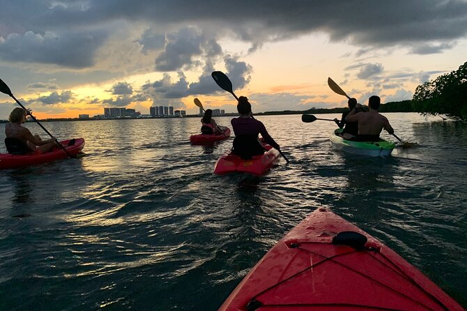A Private Half-Day Kayaking Experience in Nichupté Lagoon  - Cancun - Viator Help Center and Booking Details