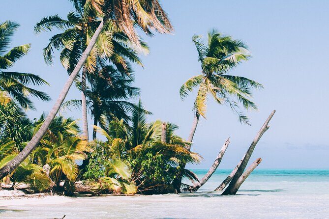 A private tour with Blue Lagoon - FAQs