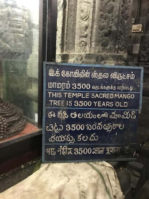 A Private Trip to Kanchipuram & Mahabalipuram from Chennai - Practical Details and What to Expect