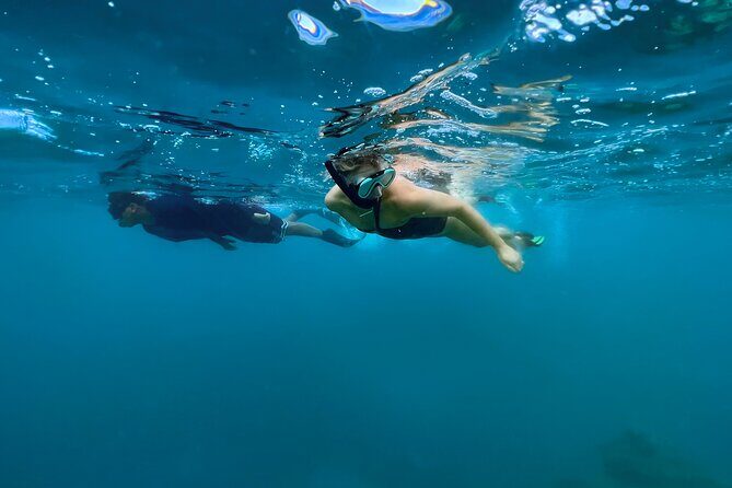 A Private TURTLE Tour on Rarotonga with Photography and Transfers - Detailed Breakdown of What to Expect